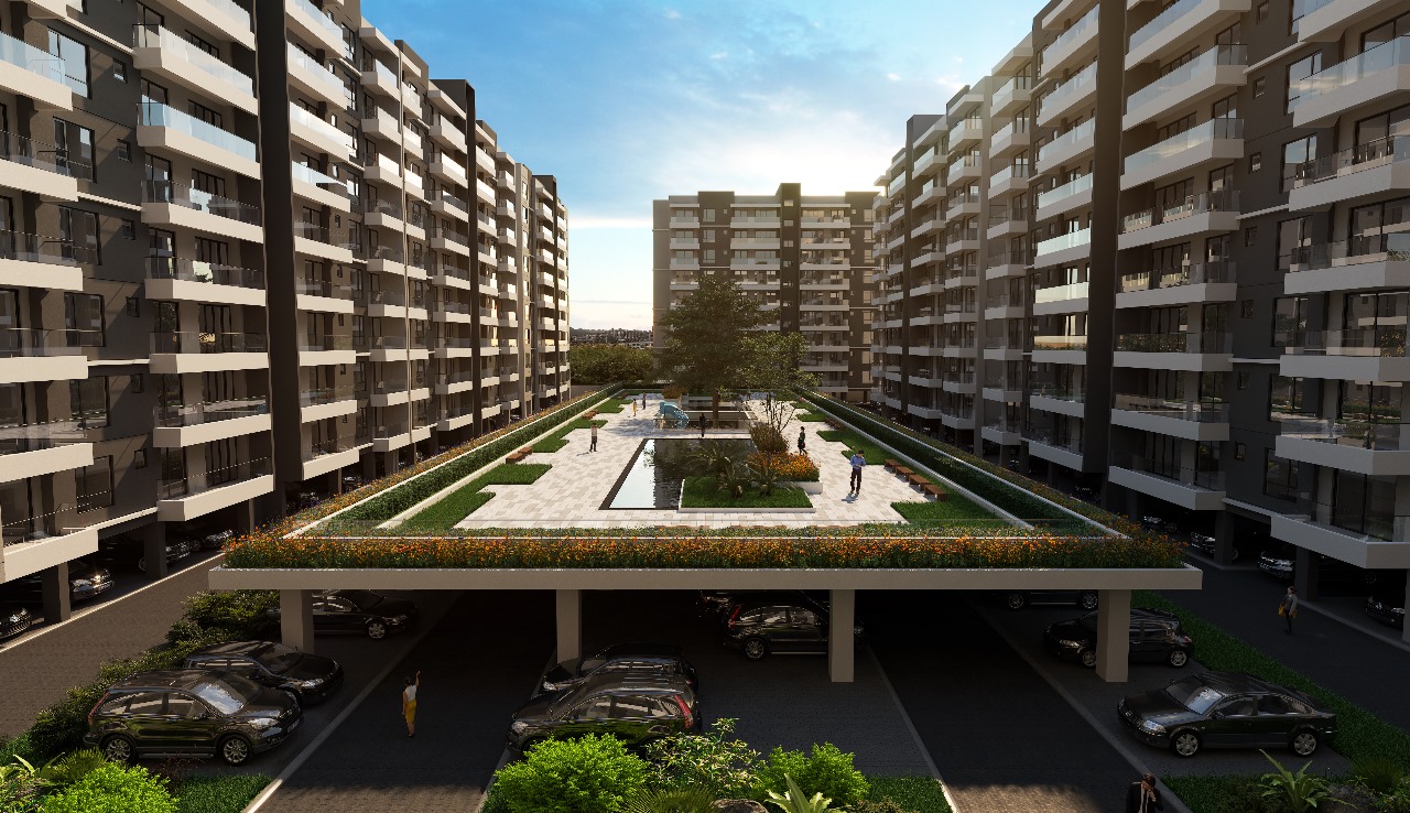 Mango Tree Apartments